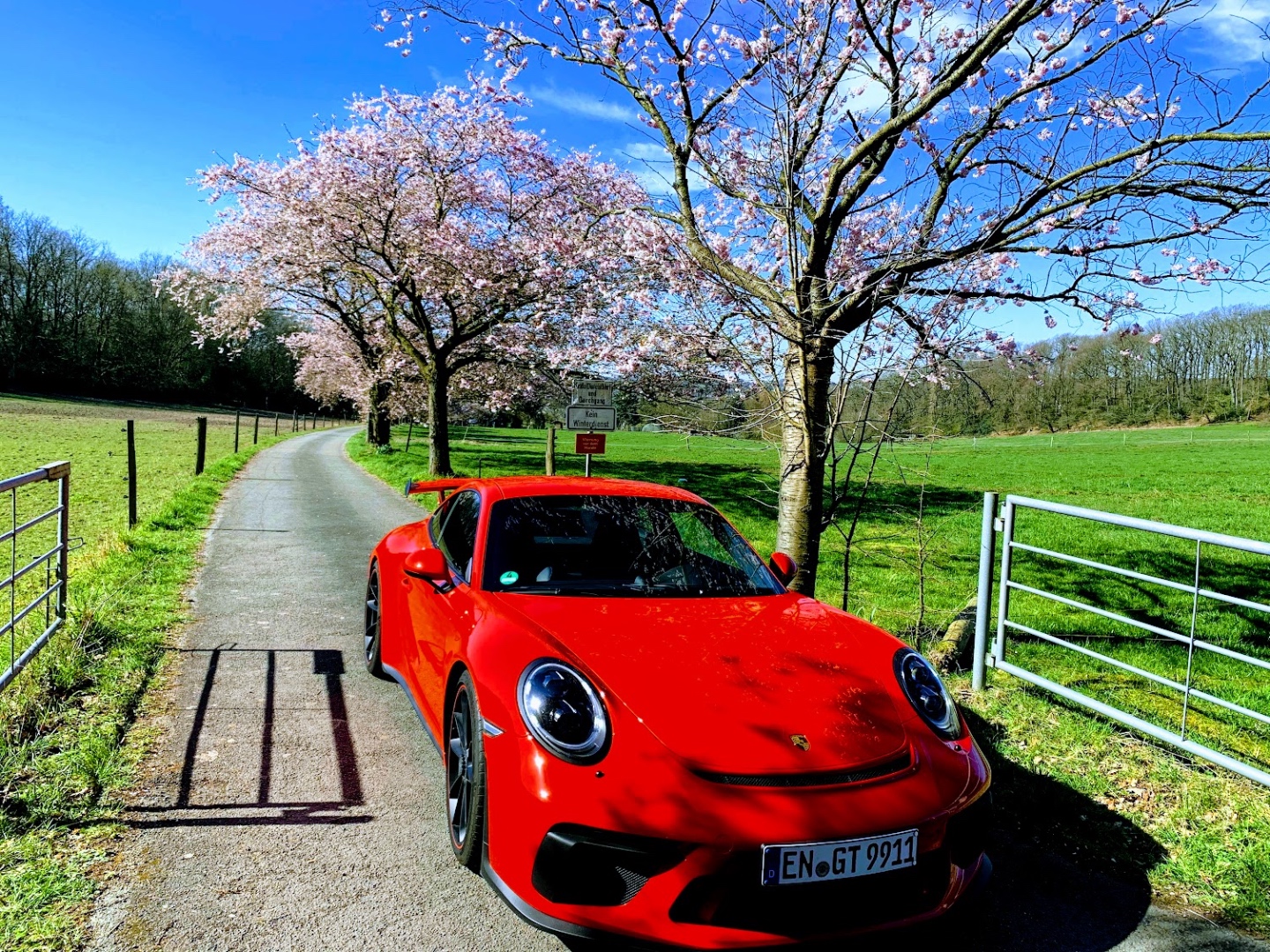 Red GT3 under cherry blossoms on a German country lane