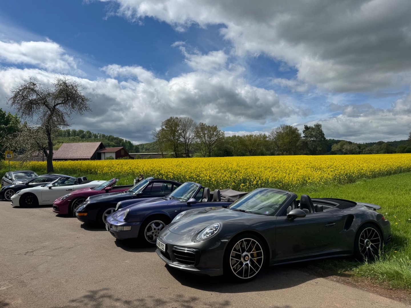 Porsches lined up alongside a bright yellow rapeseed field in Germany